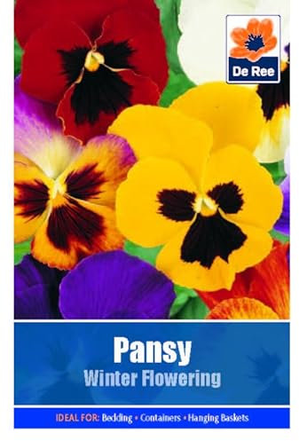 Flower Seeds Pansy Winter Flowering - 80 Seeds Packet Plant Bedding Borders Containers Pots Grow Your Own Garden Plant Seed