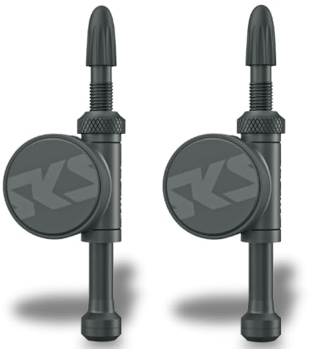 SKS GERMANY Airspy TL Set Special M 67 mm Sensor de presión de neumáticos para ruedas de ferry (para neumáticos tubeless, manómetro digital, a prueba de polvo y agua, alarma integrada en caso de