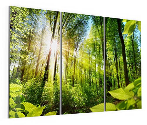 DEQORI Cuadros de cristal auténtico, diseño luz penetra árboles, horizontal, 3 piezas, 150 x 100 cm, gran decoración XXL, para salón, dormitorio, pasillo y cocina