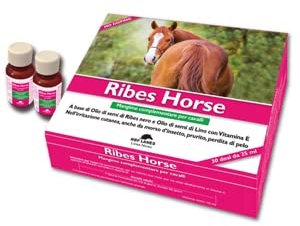 NBF Ribes Horse - 30 Buste da 25 ml cad.