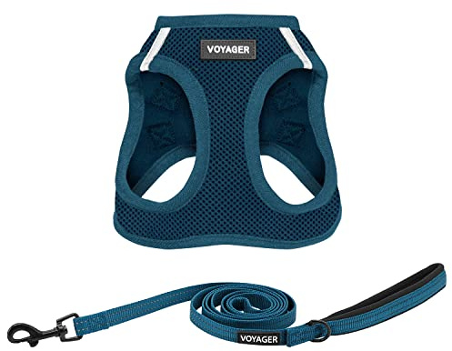 Voyager Step-in Air Cat Harness - All Weather Mesh Step in Vest Harness for Small and Medium Cats by Best Pet Supplies - Harness Leash Set (Blue), XXXS