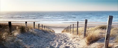 artissimo, Glasbild XXL, 125x50 cm Querformat, AG5408A, Strand-Landschaft: Weg zum Meer, Bild aus Glas groß, Wanddeko, Wandbild Wohnzimmer modern, Dünen, Gräser