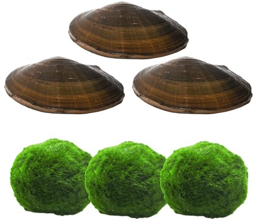 Juego de filtros naturales para estanques | Cuidado natural del estanque para un estanque de jardín claro y limpio y estanque de peces | 3 bolas de algas marimo japonesas y 3 conchas de estanque