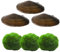 Natürlichers Teichfilter Set | Natürliche Teichpflege für einen klaren & sauberen Gartenteich & Fischteich | 3X Japanischer Marimo Algenball & 3X Teichmuschel