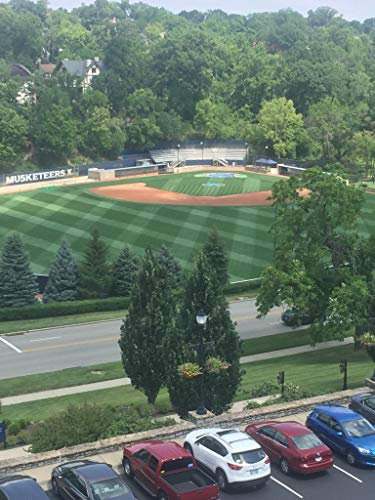 Fertilization Guidelines For Sports Turf Managers