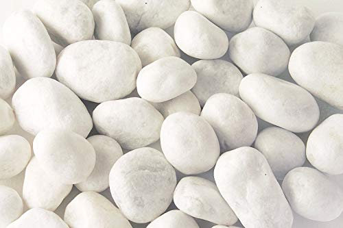 Todoestores Piedras de mármol Blanco Natural (500)