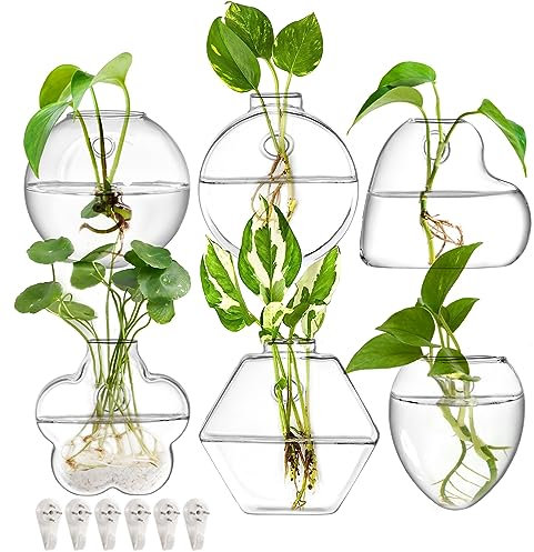 yarlung Set of 6 Wall Hanging Planter Terrarium, Clear Glass Plants Vase Wall Mount for Propagating Hydroponics Plants, Indoor Air Plants, Stylish 6 Shapes (Plants Not Included)