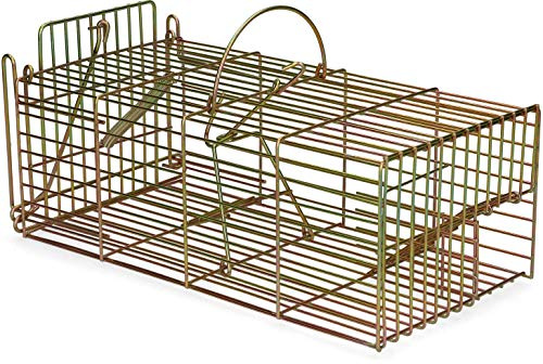 Knock Off Trampa Para Ratas De Captura Viva Multi-Captura