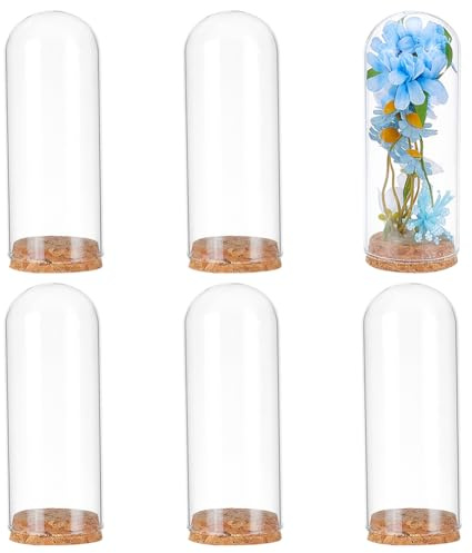 BENECREAT 6 dekorativ kupolburk i glasklocka med displaykupol, 12 x 4,7 cm, kruka med korkbas för blomsterförvaring, exemplar, hantverksdekorationer