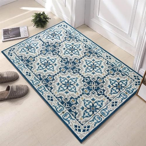 Hafaa Door Mat Indoor & Outdoor - Non Slip Heavy Duty Doormats - Stylish & Printed Mat - Perfect Dust Grabbing Shoes Scrapper Door Mats (Luna Blue, 40cm x 60cm)