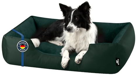 BedDog Zara Lit pour Chien L, Orelier, Panier, Canapé, Housse Amovible, Lavable, pour Moyen Petits Chiens