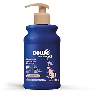 DOUXO® Skin & Coat SPA Shampoo anti-démangeaisons pour chiens, Ultra-Safe, 250 ml Nettoie et apaise la peau, renforce le pelage, laisse un pelage doux et brillant. Formule douce pour la peau.