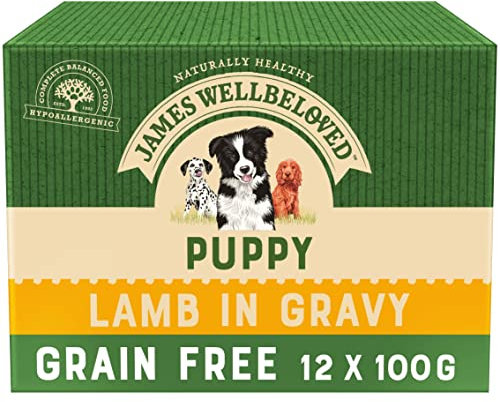 James Wellbeloved Junior Grain-Free Lamb in Gravy 12 Pouches, Hypoallergenic Wet Dog Food for Puppies, Pack of 1 (12x100 g)
