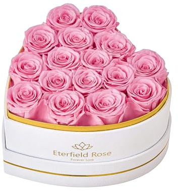 Eterfield 16 Forever Flowers in Heart Shape Box, Preserved Roses That Last a Year Preserved Flowers Birthday Gifts for Her Mom Women Wife Anniversary Valentines Day Mothers Day Christmas, Pink