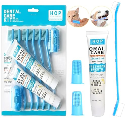 2pcs Hundezahnpasta(70g),hundezahnbürste,zahnpflege hund Set,zahnpasta hund,Hundezahnbürste und Fingerzahnbürste,beugt Mundgeruch vor,erfrischt den Atem,Reduzierung der Pigmentierung