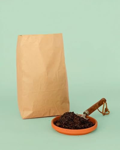 Pur Plant Sustrato para Cactus, Suculentas y Plantas Crasas