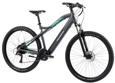 F.lli Schiano E-Mеrcury, E Bike Mountainbike, 29 Zoll, 36V 11.6Ah Abnehmbarer Akku, Motor 250W 50Nm, MTB Ebike für Herren/Damen, Grau