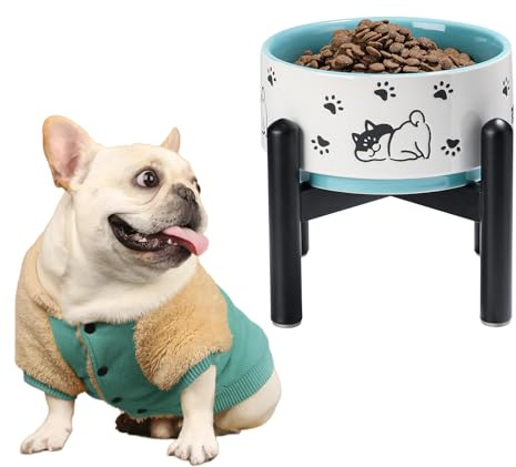 Gamelle pour Chien Surélevée en Céramique - Gamelle pour Nourriture avec Support en Acier Inoxydable - Bol pour Petits et Moyens Chiens - 900 ML - Vert