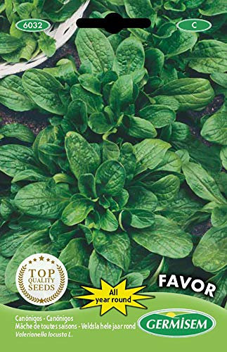 Germisem graines Mâche de toutes saisons Favor EC6032 Multicolore