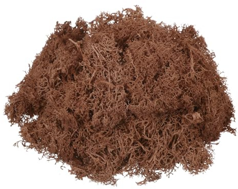 QUARKZMAN 7.4oz Musgo Reno Preservado, Café Marrón Decorativo Artificial para Plantas En Maceta Manualidades Decoración De Interiores Líquen Centros De Mesa