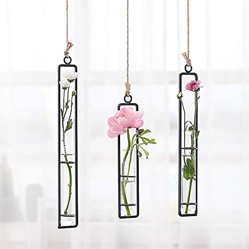 Wrought Iron Clear Glass Test Tube Flower Vases Wall Hanging Plants Planter Hydroponic Terrarium Holder Home Decor (S)