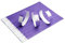100 pulseras para Eventos, Fiesta, Festivales, Pulseras Coloridas de papel tyvek de 19 mm para Eventos Ferias. A prueba de rasgaduras (Púrpura)