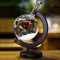 DELIBEST Sturmglas-Wettervorhersage, kreative stilvolle Wetterstation Forecaster Sturmglasflaschen-Barometer, Tischdekoration Handwerk (Rose Globus)