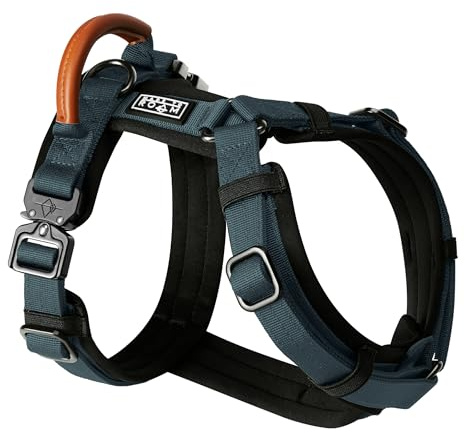 MADE TO ROAM Premium Explorer Harness - Y-Shaped Dog Harness with Adjustable Durable Nylon, Soft Padding, Metal Buckles and Leather Handle for Small, Medium, Large Dogs (Colorado Nightsky, Size 3)