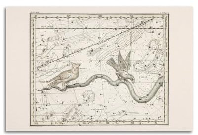 HCLHB Sternkarte - Hydra-Sternkarten-Druck - Professionelle Reproduktion, Glossy, Vollfarb, 50 x 75 cm, Thematisch, Wandposter und Kunstdruck, Modernes Familienschlafzimmer-Dekor-Poster