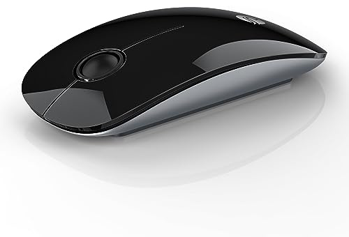 RAPIQUE Bluetooth Wireless Mouse - (BT5.1+USB) Slim Dual Mode Computer Mice with Quiet Click, Low Power, and 1600 DPI, Portable Mouse for MacBook, Laptop, iPad Pro/Air, Surface Pro (Black)