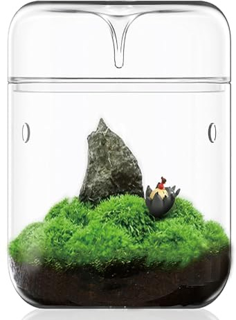 Petit terrarium en verre 12 x 17,5 cm Planificateur d'air pour plantes succulentes Mousse de fougère Vase micro-paysage pour décoration de jardins domestiques et bureau