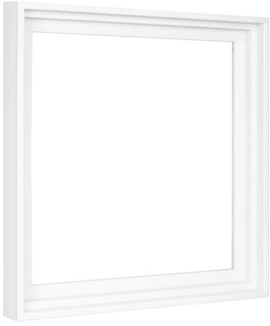 MCS Canvas Float Frames Canvas White Frame, Vertical & Horizontal Wall Hang