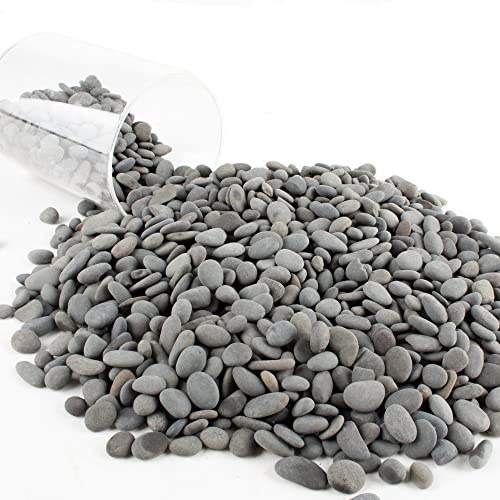 Black Rock, CJGQ 3lb River Rocks Pebbles for Plants Succulents, Decorative Outdoor Landscaping Garden Rocks, Natural Small Mexican Beach Pebbles Aquarium Rocks Gravel for Fish Tanks Vase Yard Decor