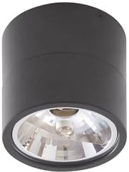 Foco 'Thorid' (Moderno) en Negro hecho de Metal e.o. para Salón & Comedor (2 llamas, G9) de Lindby | foco empotrado, lámpara de techo, lámpara de pared