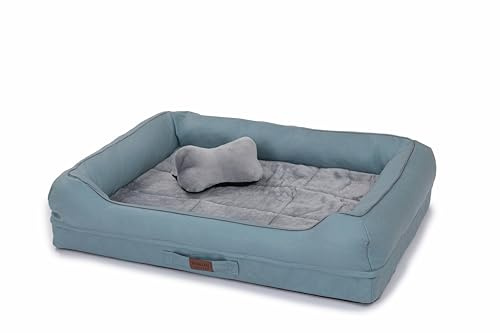 RAIKOU Cuccia per cani con cuscino rimovibile, imbottita e lavabile – Posto letto, cuscino per cani – Cuccia per animali di alta qualità per il vostro compagno fedele(blu,80 * 60 * 7cm)