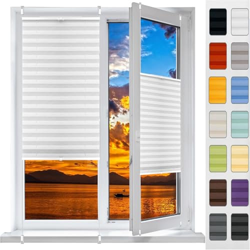 Tenda Plisse con Foratura Plissettata 90 x 220 cm, Protezione Solare in Tessuto, Klemmfix Tenda Plissetata Oscurante, Blinds Tenda Plissettata, per Finestre, Bianco