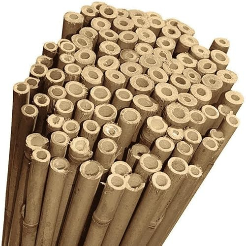 CANNE DI BAMBOO THAI - SOSTEGNO NATURALE per POMODORI E RAMPICANTI, IDEALE PER ORTAGGI, PIANTE E ORTO - Canna Bamboo - (50 canne CM.240 / Ø 20/22)