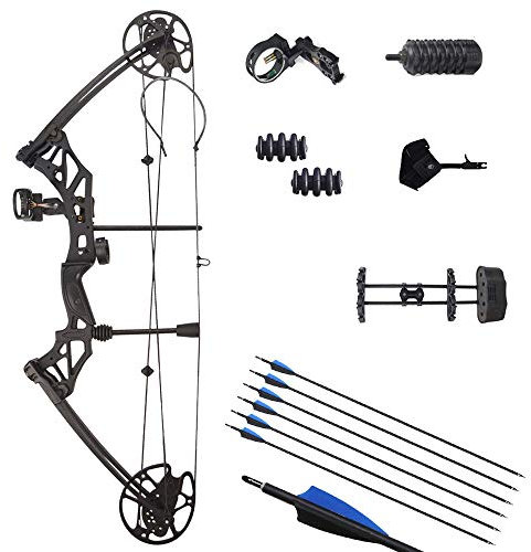 ZSHJG Kit Arco Compound 30-70lbs Completare Set di Arco Composito Arco da Caccia con Frecce in Carbonio Arco Compound per Adulti 320fps (Type2)