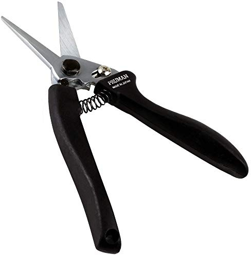 Wazakura Sécateur Professionnel 195 mm Fabriqué au Japon, Ciseaux de Jardinage Ikebana et composition Floral Japonais, Outil de Coupe et Élagage en Acier Inoxydable, Argent