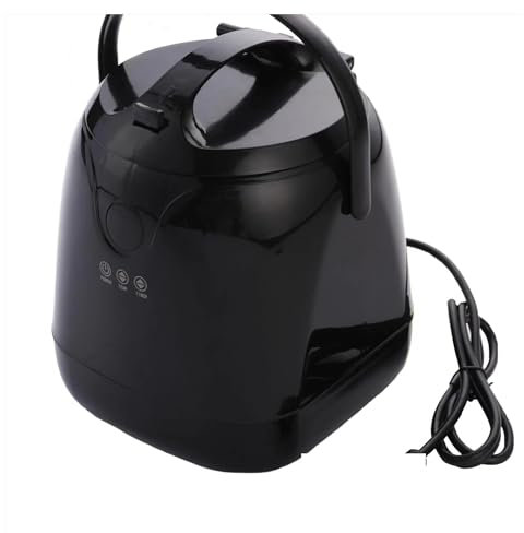 JOLIANE Steam Generator For Home Sauna 2.0L 1000W Therapy For SPA Heating,Sauna Box Steam Oven Sweat Steam Box Steam Oven For Home Sauna