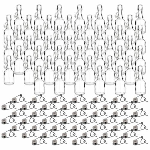 gouveo Lot de 66 bouteilles en verre de 40 ml avec anse et fermeture mécanique – Mini flacon à remplir – Petite bouteille avec anse pour liqueur, huile (BF040H)