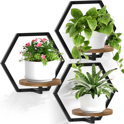 JOPBENG Lot de 3 pots de fleurs muraux pour plantes d'intérieur, support de plantes en métal de 20,1 cm, décoration murale, étagères de fenêtre à suspendre pour l'extérieur (base en bois noir)
