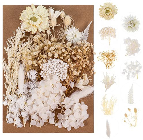 Bohoman Fiori Secchi Naturali, Veri Petali e Foglie Pressati per Resina, Eterna Fiore per Fai da Te, Scrapbooking, Candele e Decorazione
