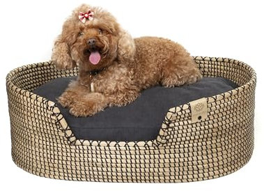 MISSLOTO Hundebett, Katzenbett, mittelgroße Hunde, Bett für mittelgroße Hunde, Katzenbett, orthopädisches Hundebett, orthopädisches Hundebett