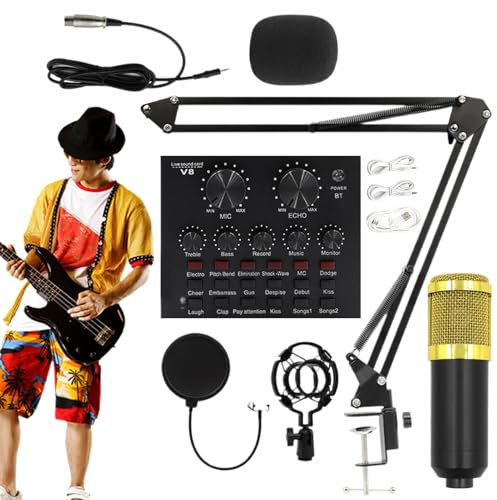 BM-mikrofonset – datormikrofonset, paket för multifunktionell studio streaming utrustning, hundra kondensator ljudinspelningskort standardpaket | För sångare Podcast Live Broadcast