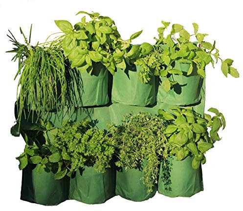 Tierra Garden Haxnicks Fioriera da Giardino Verticale per Erbe aromatiche, per Interni ed Esterni, Giardino, Balcone, terrazza, Verde, Larghezza 60 cm x Altezza 48 cm, Planter300101