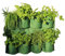 Haxnicks Planter300101 Jardinière Murale à Herbes aromatiques Verticales pour Un Jardin Mural d'herbes aromatiques Utilisation intérieure ou extérieure Jardin Urbain Balcon terrasse Vert 60 x 48 cm