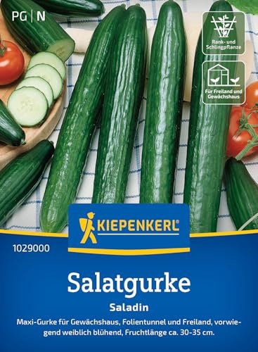 Kiepenkerl Salatgurkensamen Saladin 1029000 - Aromatische Gurkensamen für frische Salate, ideal für Gewächshaus und Freiland, robust, hohe Erträge
