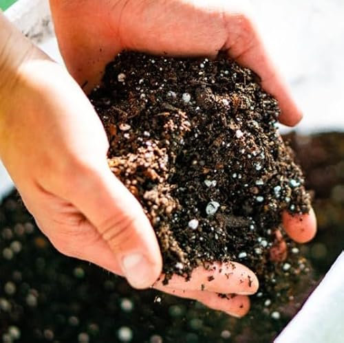 Sustrato de Plantas Ácidas Bolsa 5L de Turba Crecimiento Rápido y Floración Prolongada