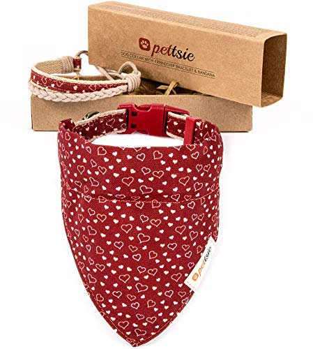 Hundehalstuch mit Halsband und Freundschaftsarmband von Pettsie, Verstellbare Größen S, M, und L, Abnehmbares Bandana Tuch, Attraktive Verpackung Inklusive, Hundeliebhaber, L, Rot